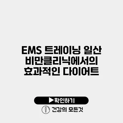EMS 트레이닝 일산 비만클리닉에서의 효과적인 다이어트
