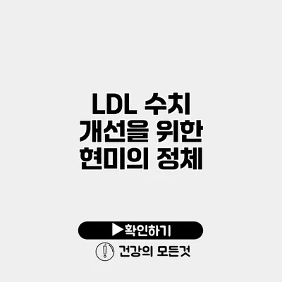 LDL 수치 개선을 위한 현미의 정체