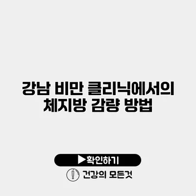 강남 비만 클리닉에서의 체지방 감량 방법