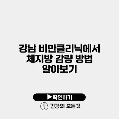 강남 비만클리닉에서 체지방 감량 방법 알아보기