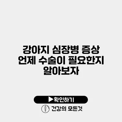 강아지 심장병 증상 언제 수술이 필요한지 알아보자