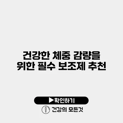 건강한 체중 감량을 위한 필수 보조제 추천