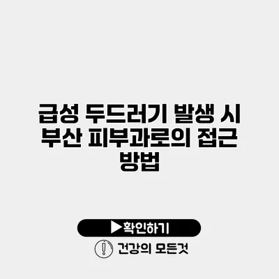 급성 두드러기 발생 시 부산 피부과로의 접근 방법
