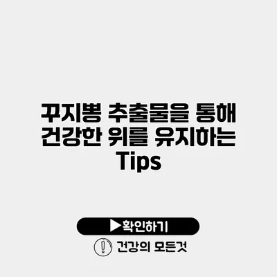 꾸지뽕 추출물을 통해 건강한 위를 유지하는 Tips