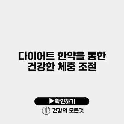 다이어트 한약을 통한 건강한 체중 조절