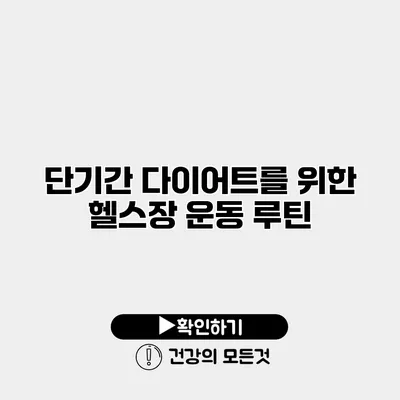 단기간 다이어트를 위한 헬스장 운동 루틴
