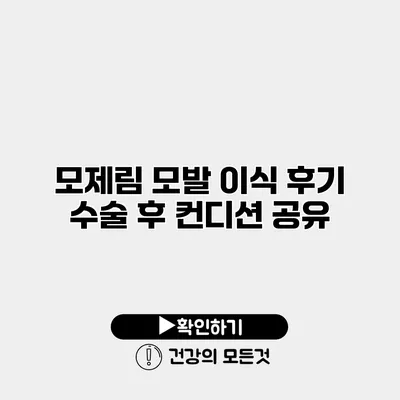 모제림 모발 이식 후기 수술 후 컨디션 공유