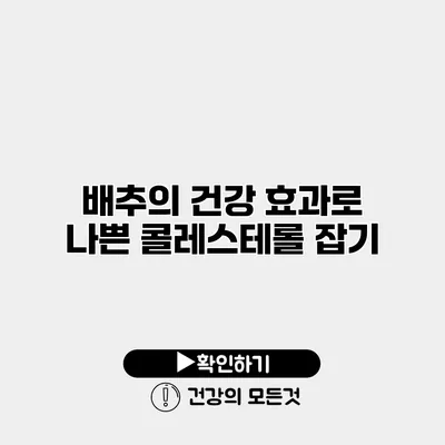 배추의 건강 효과로 나쁜 콜레스테롤 잡기