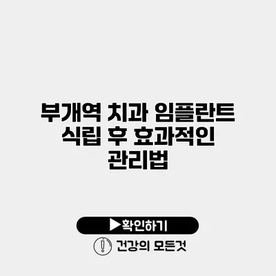 부개역 치과 임플란트 식립 후 효과적인 관리법