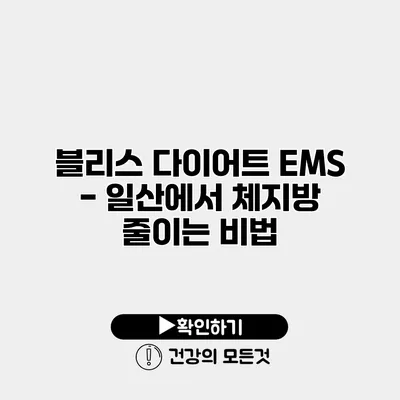 블리스 다이어트 EMS - 일산에서 체지방 줄이는 비법
