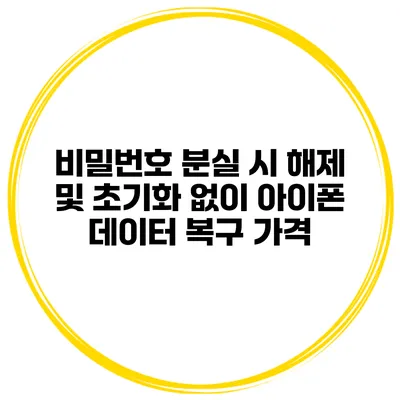 비밀번호 분실 시 해제 및 초기화 없이 아이폰 데이터 복구 가격