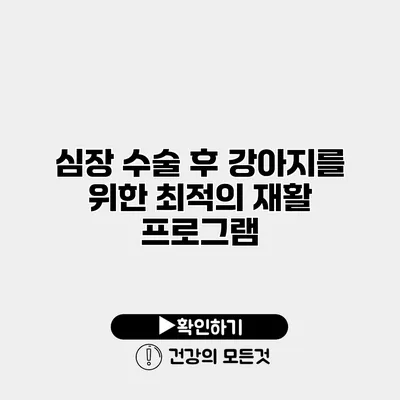 심장 수술 후 강아지를 위한 최적의 재활 프로그램