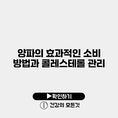 양파의 효과적인 소비 방법과 콜레스테롤 관리