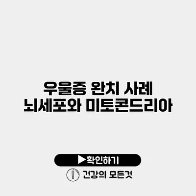 우울증 완치 사례 뇌세포와 미토콘드리아