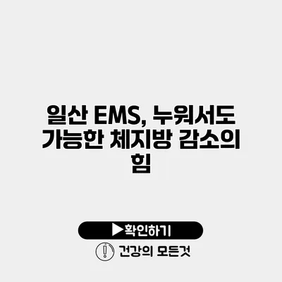 일산 EMS, 누워서도 가능한 체지방 감소의 힘