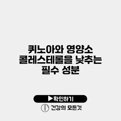 퀴노아와 영양소 콜레스테롤을 낮추는 필수 성분