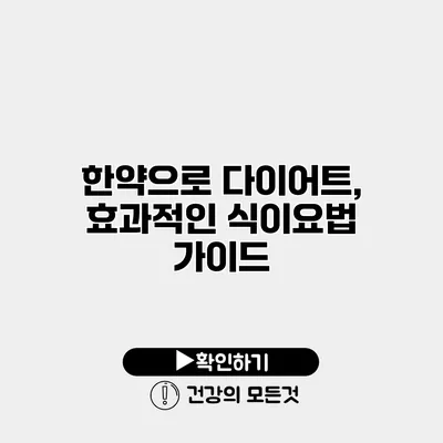 한약으로 다이어트, 효과적인 식이요법 가이드