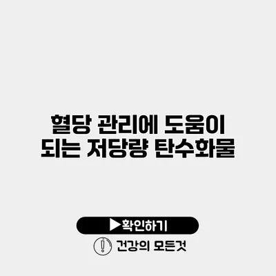 혈당 관리에 도움이 되는 저당량 탄수화물