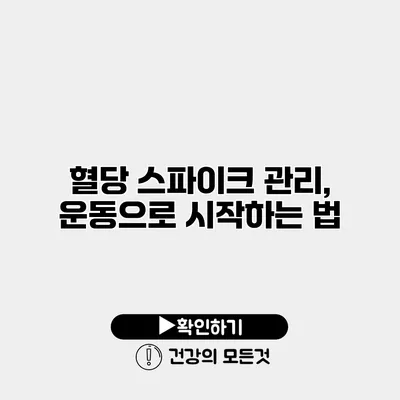 혈당 스파이크 관리, 운동으로 시작하는 법