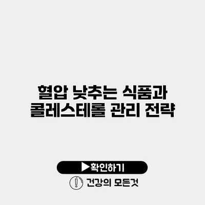 혈압 낮추는 식품과 콜레스테롤 관리 전략