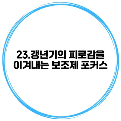 23.갱년기의 피로감을 이겨내는 보조제 포커스