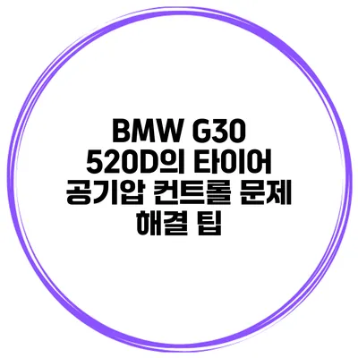 BMW G30 520D의 타이어 공기압 컨트롤 문제: 해결 팁