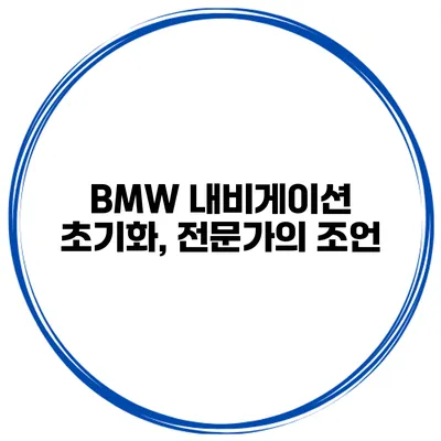 BMW 내비게이션 초기화, 전문가의 조언