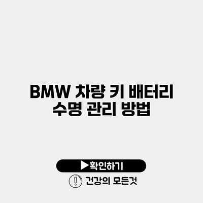 BMW 차량 키 배터리 수명 관리 방법