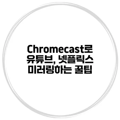 Chromecast로 유튜브, 넷플릭스 미러링하는 꿀팁