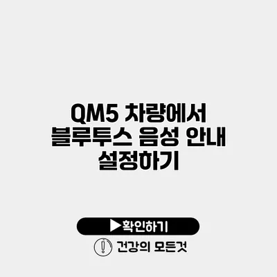 QM5 차량에서 블루투스 음성 안내 설정하기