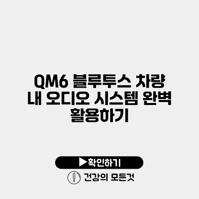 QM6 블루투스 차량 내 오디오 시스템 완벽 활용하기