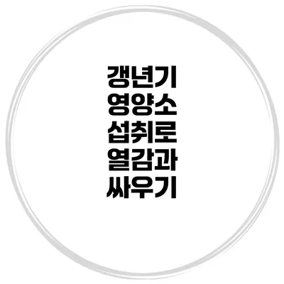 갱년기 영양소 섭취로 열감과 싸우기
