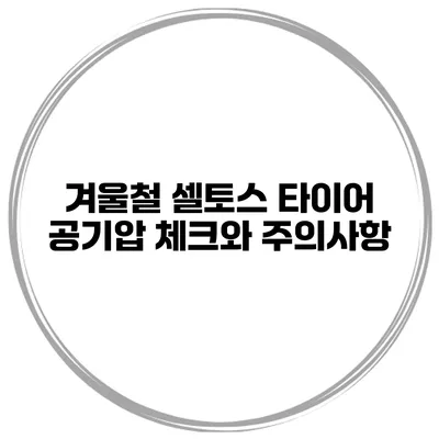 겨울철 셀토스 타이어 공기압 체크와 주의사항