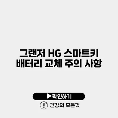 그랜저 HG 스마트키 배터리 교체 주의 사항