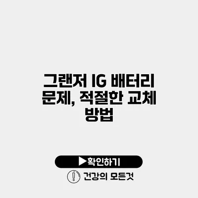 그랜저 IG 배터리 문제, 적절한 교체 방법