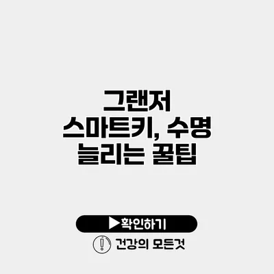 그랜저 스마트키, 수명 늘리는 꿀팁