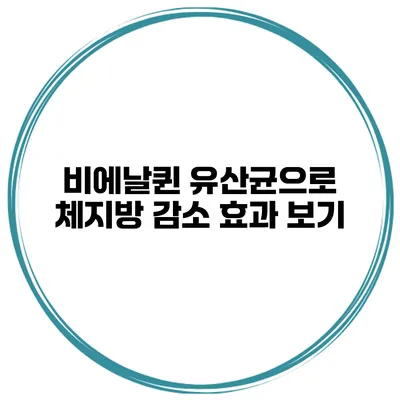 비에날퀸 유산균으로 체지방 감소 효과 보기