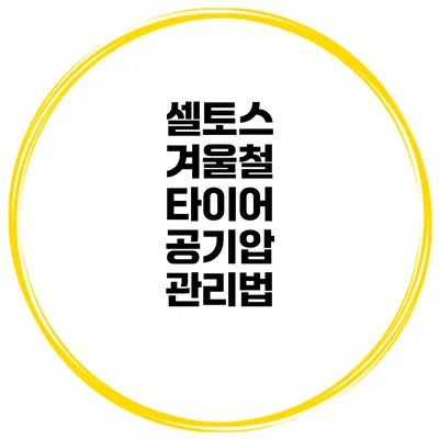 셀토스 겨울철 타이어 공기압 관리법
