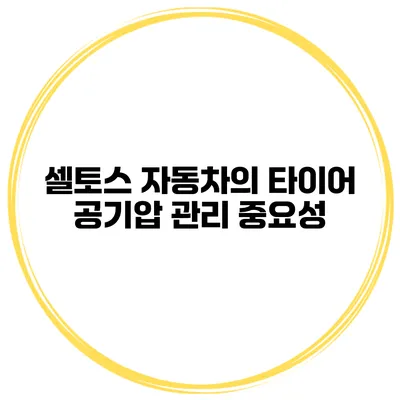 셀토스 자동차의 타이어 공기압 관리 중요성
