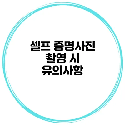 셀프 증명사진 촬영 시 유의사항