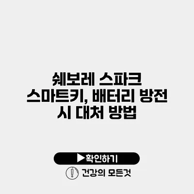 쉐보레 스파크 스마트키, 배터리 방전 시 대처 방법
