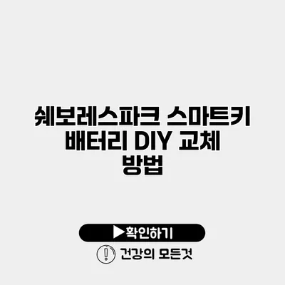 쉐보레스파크 스마트키 배터리 DIY 교체 방법