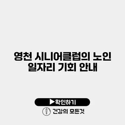영천 시니어클럽의 노인 일자리 기회 안내