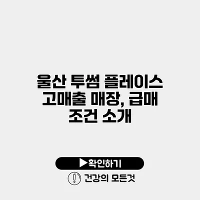 울산 투썸 플레이스 고매출 매장, 급매 조건 소개
