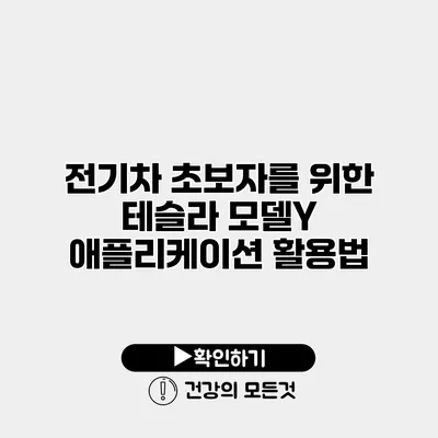 전기차 초보자를 위한 테슬라 모델Y 애플리케이션 활용법