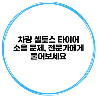 차량 셀토스 타이어 소음 문제, 전문가에게 물어보세요