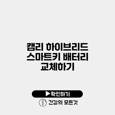 캠리 하이브리드 스마트키 배터리 교체하기