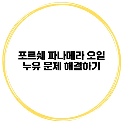 포르쉐 파나메라 오일 누유 문제 해결하기