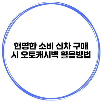 현명한 소비 신차 구매 시 오토캐시백 활용방법