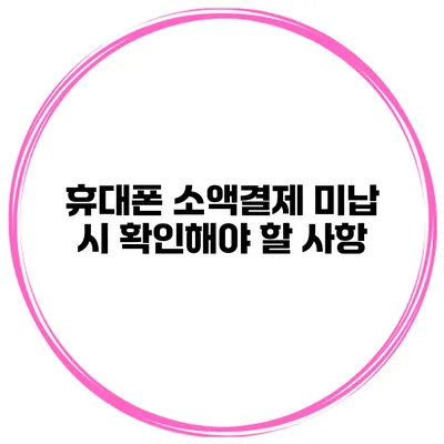 휴대폰 소액결제 미납 시 확인해야 할 사항